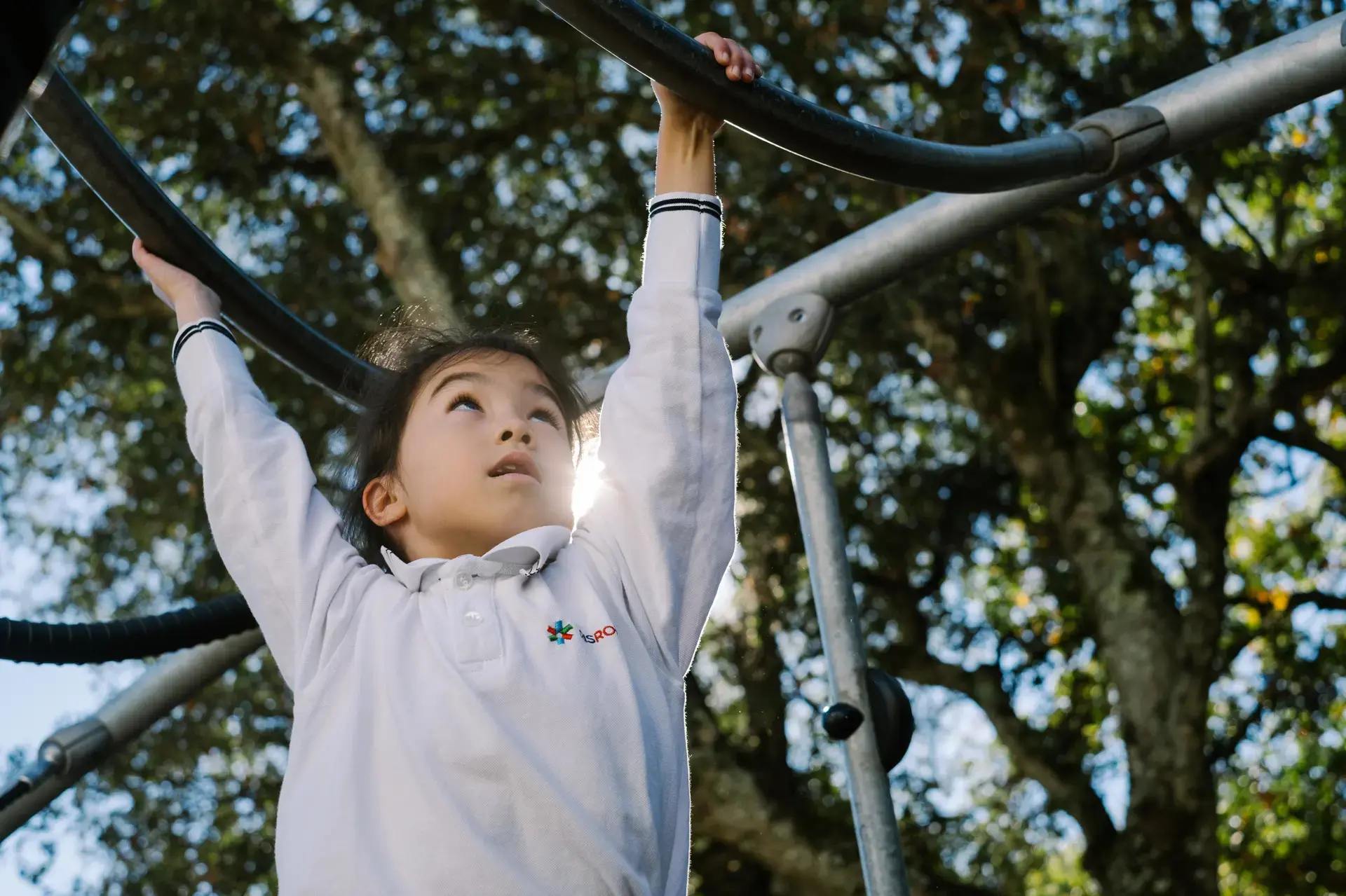 young student climbing on monkey bars outdoors under the trees.