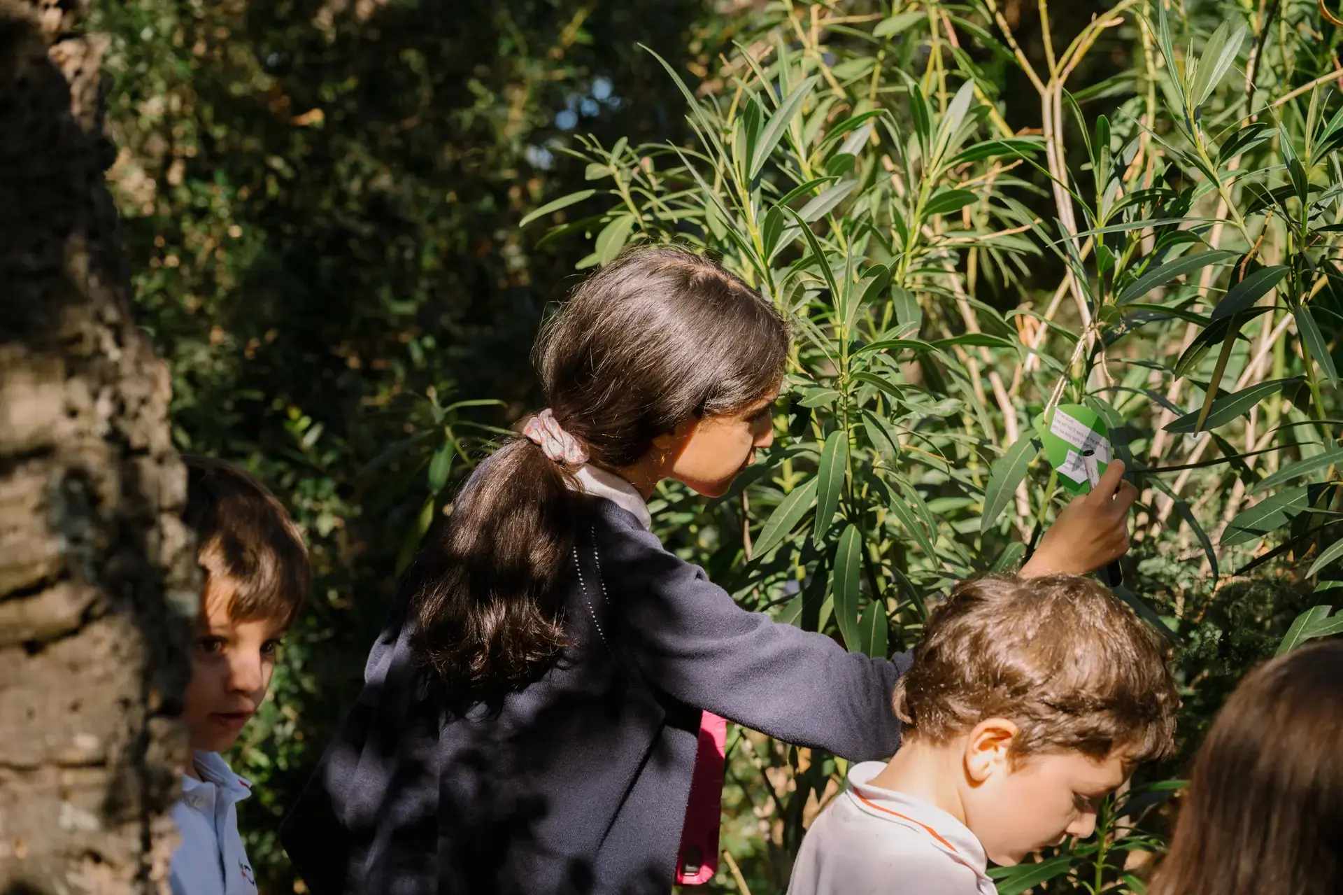 students reaching into a bush outdoors during a nature activity.