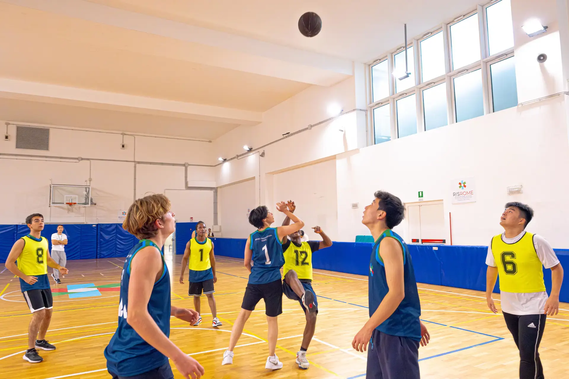 Gymnasiums