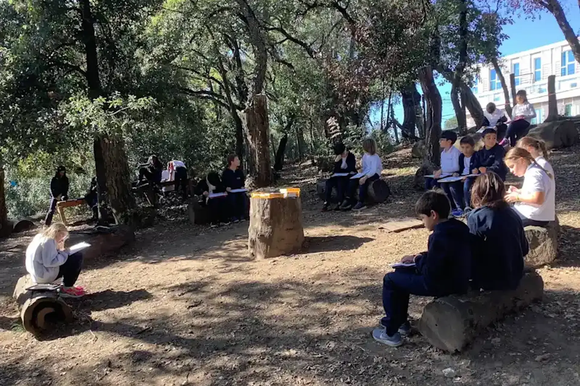 students gathered outdoors among trees during an outdoor class session.