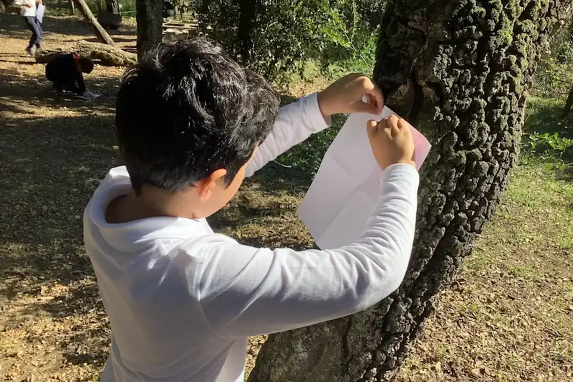 student attaching paperon a tree trunk outdoors.