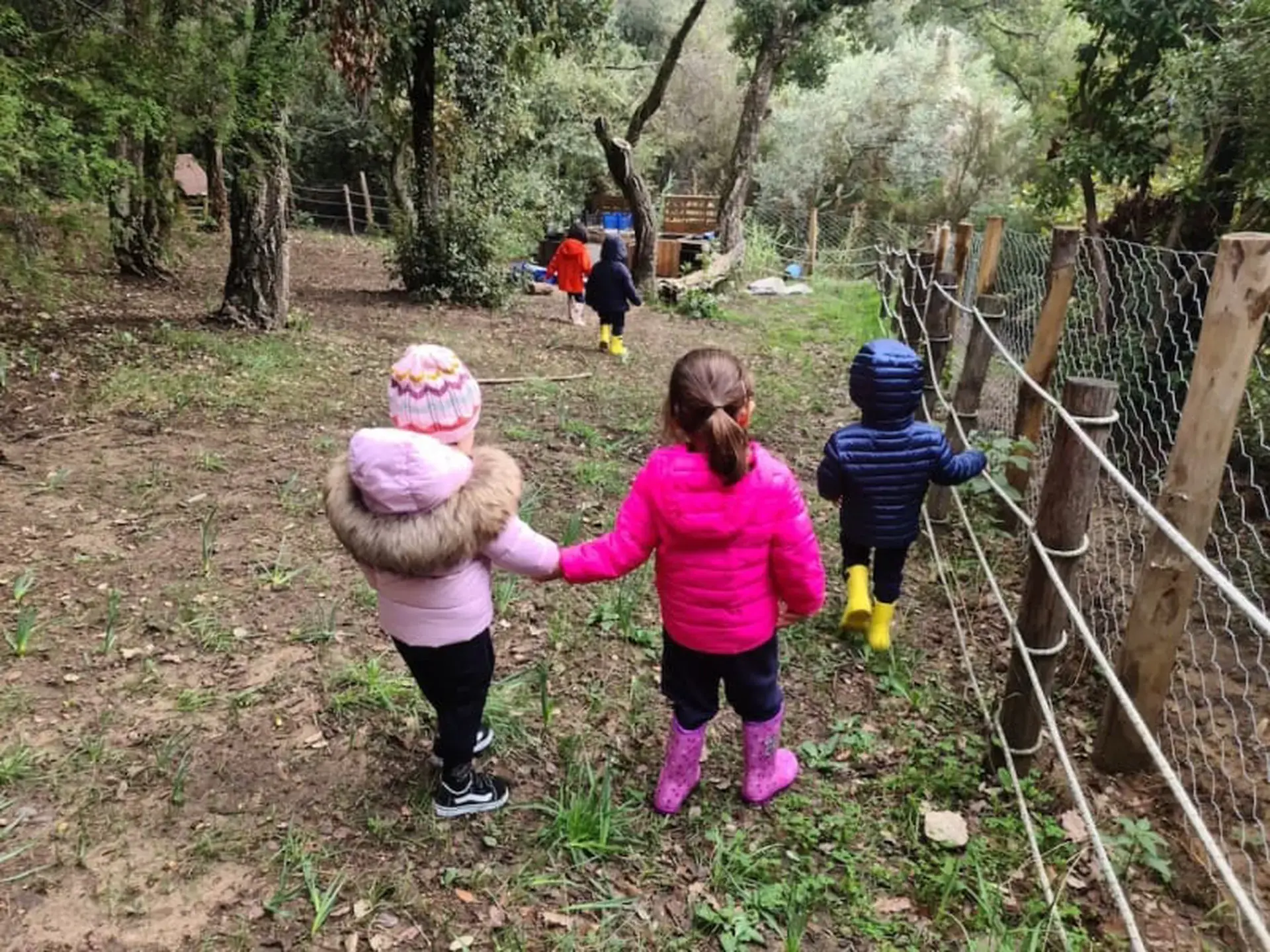 young students exploring nature on a walk near a fence