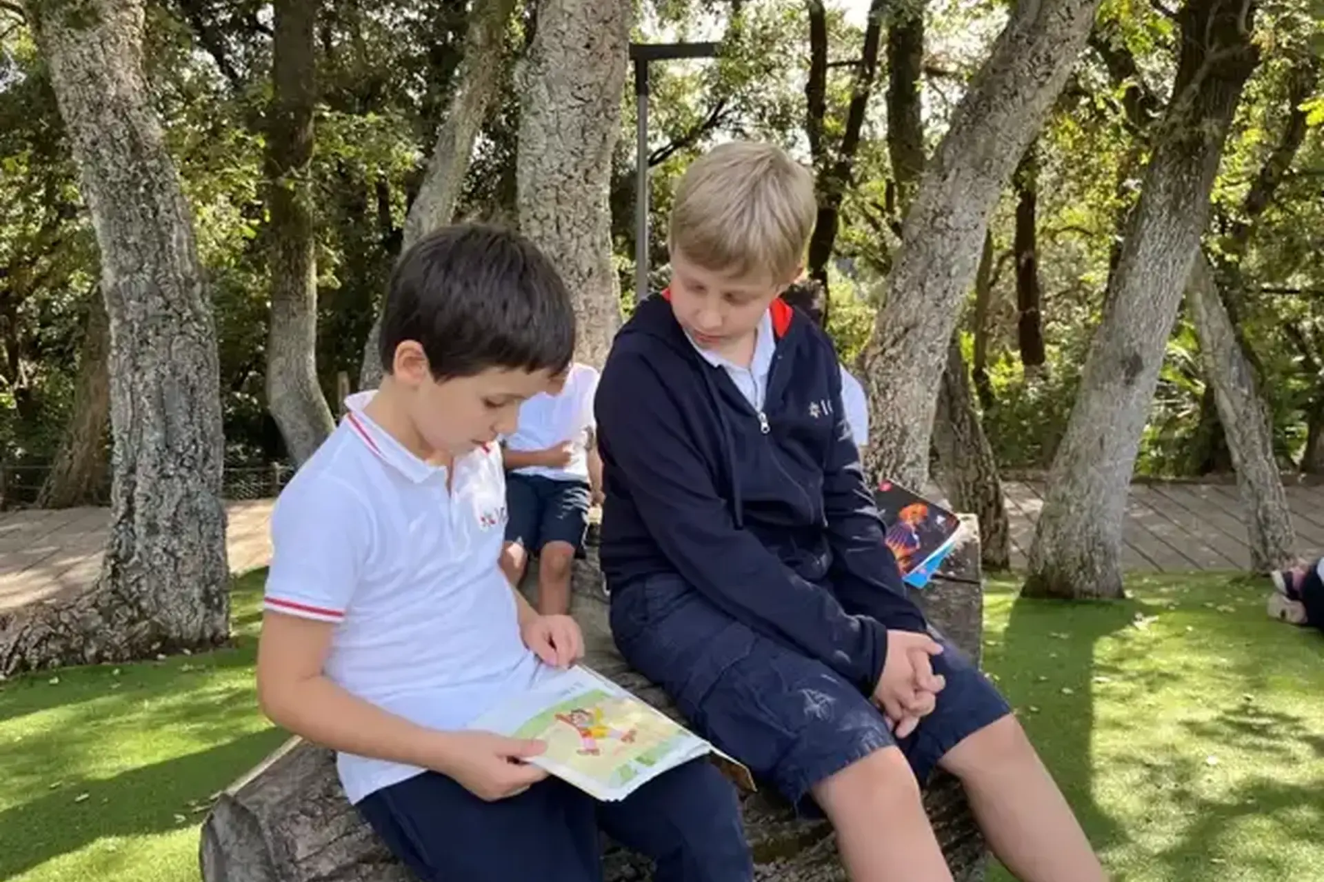 two students reading a book together outdoors on a tree stump.