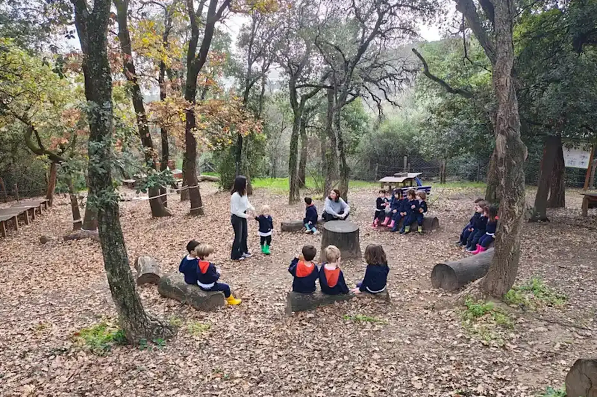 young students sitting on log benches for an outdoor forest school lesson